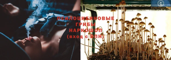 индика Алзамай