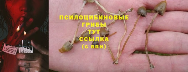 индика Алзамай