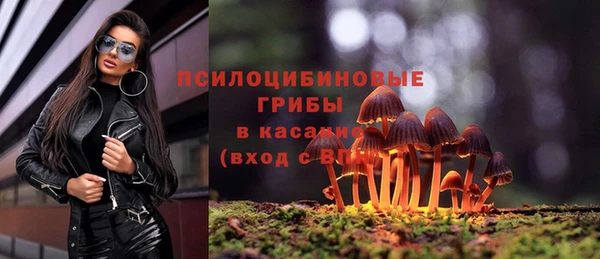 индика Алзамай