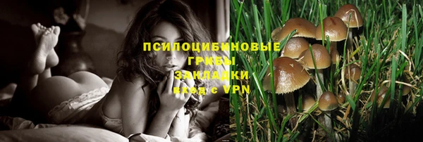марки nbome Алексеевка